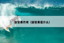 益智果作用（益智果是什么）