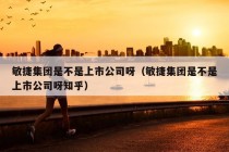 敏捷集团是不是上市公司呀（敏捷集团是不是上市公司呀知乎）