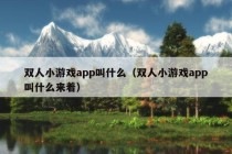 双人小游戏app叫什么（双人小游戏app叫什么来着）