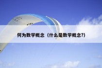 何为数学概念（什么是数学概念?）