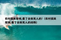 农村搞笑视频,看了会笑死人的!（农村搞笑视频,看了会笑死人的动物）