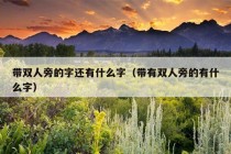 带双人旁的字还有什么字（带有双人旁的有什么字）