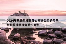 2024年思维敏捷是什么短语类型的句子:思维敏捷是什么结构类型