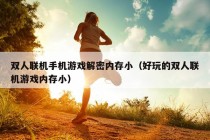 双人联机手机游戏解密内存小（好玩的双人联机游戏内存小）