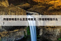 传播策略是什么意思呀英文（传播策略指什么）