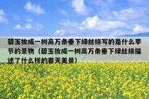 碧玉妆成一树高万条垂下绿丝绦写的是什么季节的景物（碧玉妆成一树高万条垂下绿丝绦描述了什么样的春天美景）