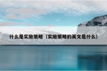 什么是实施策略（实施策略的英文是什么）