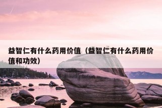 益智仁有什么药用价值（益智仁有什么药用价值和功效）