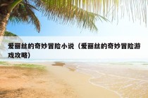 爱丽丝的奇妙冒险小说（爱丽丝的奇妙冒险游戏攻略）