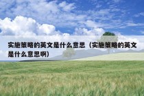 实施策略的英文是什么意思（实施策略的英文是什么意思啊）