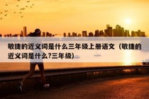 敏捷的近义词是什么三年级上册语文（敏捷的近义词是什么?三年级）