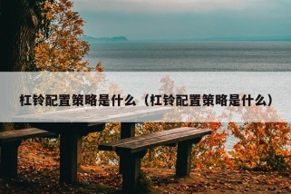 杠铃配置策略是什么（杠铃配置策略是什么）