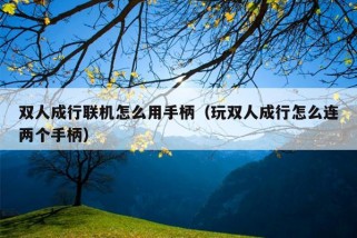 双人成行联机怎么用手柄（玩双人成行怎么连两个手柄）