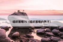 组织策略7s（组织策略的例子）