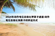 2024年动作电位去极化钾离子通道:动作电位去极化钠离子的转运方式