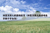 诗意又撩人的游戏名字（诗意又撩人的游戏名字四个字女生）