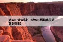 steam微信支付（steam微信支付退款到哪里）