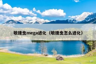 敏捷虫mega进化（敏捷虫怎么进化）