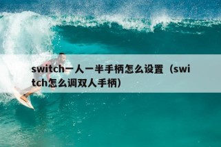 switch一人一半手柄怎么设置（switch怎么调双人手柄）