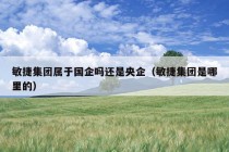 敏捷集团属于国企吗还是央企（敏捷集团是哪里的）