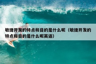 敏捷开发的特点和目的是什么呢（敏捷开发的特点和目的是什么呢英语）