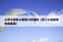 小孩子搞笑小视频15秒播放（热门小孩搞笑视频集锦）