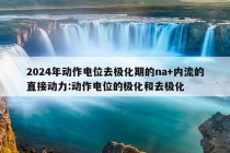 2024年动作电位去极化期的na+内流的直接动力:动作电位的极化和去极化