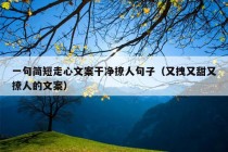 一句简短走心文案干净撩人句子（又拽又甜又撩人的文案）