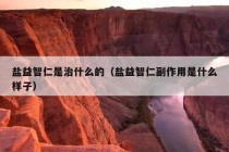 盐益智仁是治什么的（盐益智仁副作用是什么样子）