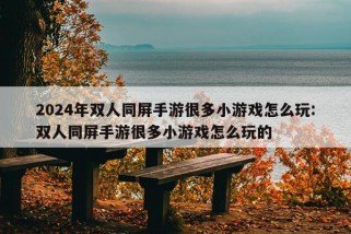 2024年双人同屏手游很多小游戏怎么玩:双人同屏手游很多小游戏怎么玩的