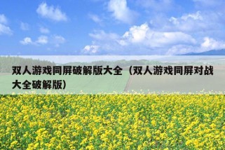 双人游戏同屏破解版大全（双人游戏同屏对战大全破解版）