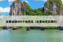 水果谜语400个哈密瓜（水果哈密瓜图片）