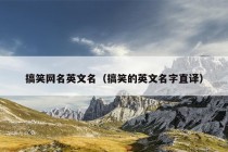 搞笑网名英文名（搞笑的英文名字直译）