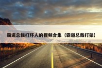 霸道总裁打坏人的视频合集（霸道总裁打架）