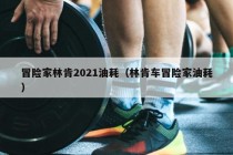 冒险家林肯2021油耗（林肯车冒险家油耗）