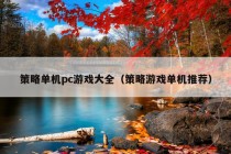 策略单机pc游戏大全（策略游戏单机推荐）