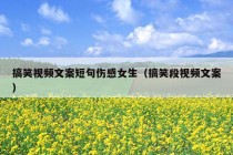 搞笑视频文案短句伤感女生（搞笑段视频文案）