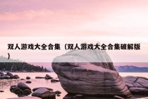 双人游戏大全合集（双人游戏大全合集破解版）