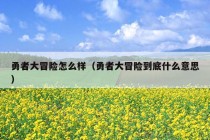 勇者大冒险怎么样（勇者大冒险到底什么意思）