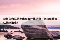 益智仁和乌药泡水喝有什么功效（乌药和益智仁泡水治啥）