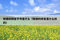 敏捷的拼音字母是什么（敏捷的拼音是什么样的）