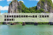 王者体育直播在线观看nba直播（王者体育直播体育）