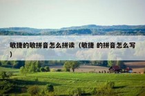 敏捷的敏拼音怎么拼读（敏捷 的拼音怎么写）