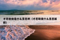 才思敏捷是什么意思啊（才思敏捷什么意思解释）