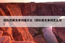 团队的英文单词是什么（团队英文单词怎么写）