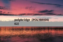 polybridge（POLYBRIDGE2）