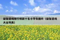 益智游戏排行榜前十名小学生图片（益智游戏大全列表）