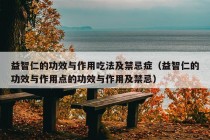 益智仁的功效与作用吃法及禁忌症（益智仁的功效与作用点的功效与作用及禁忌）