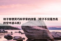 蚊子即使灵巧科学家的拼音（蚊子不仅是杰出的空中战斗机）