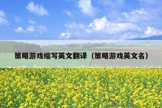 策略游戏缩写英文翻译（策略游戏英文名）